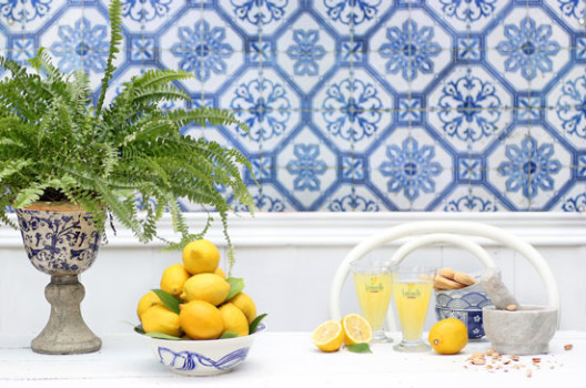 010-528x350.jpg?v=undefined