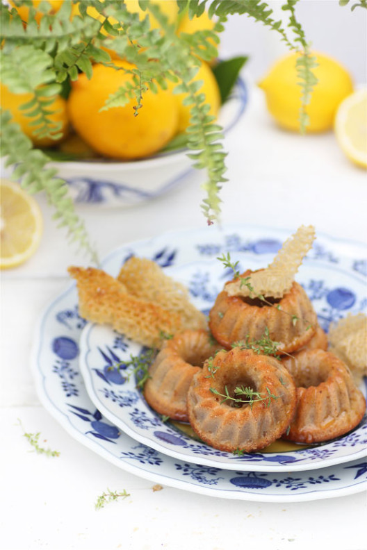 028-528x792.jpg?v=undefined