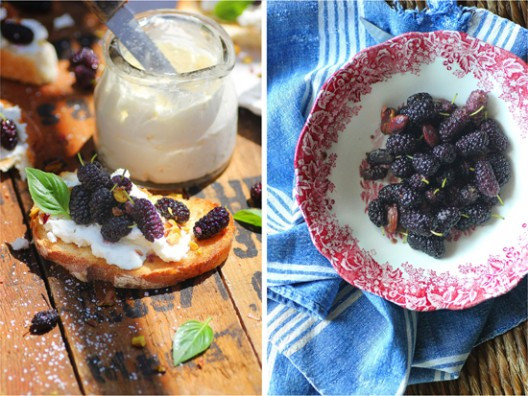 106-528x396.jpg?v=undefined