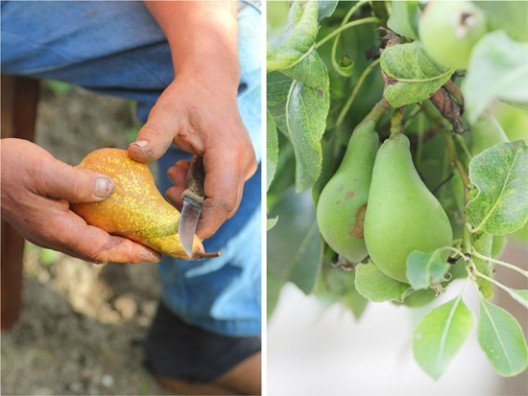 108-528x396.jpg?v=undefined