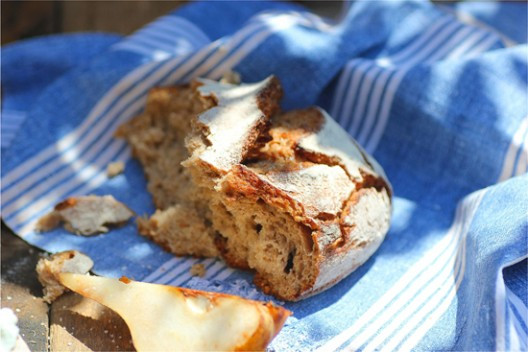 111-528x352.jpg?v=undefined