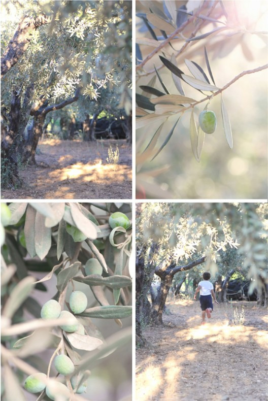 3-528x790.jpg?v=undefined