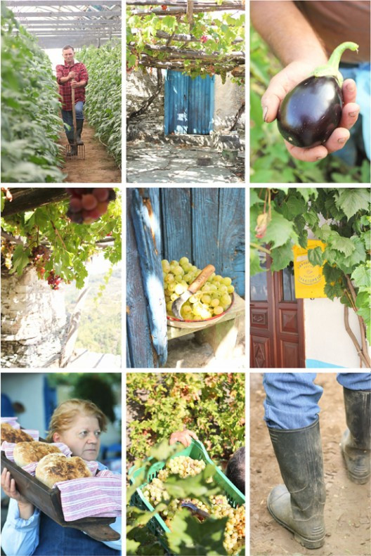 4-528x791.jpg?v=undefined