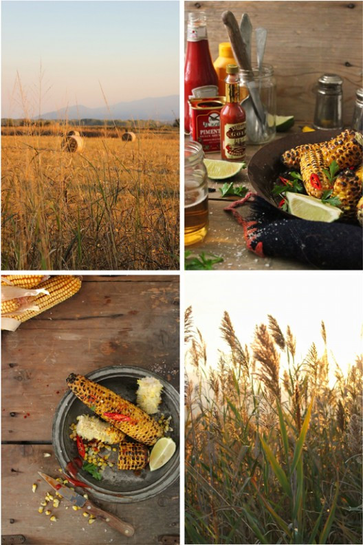 bbq-corn-3-528x792.jpg?v=undefined