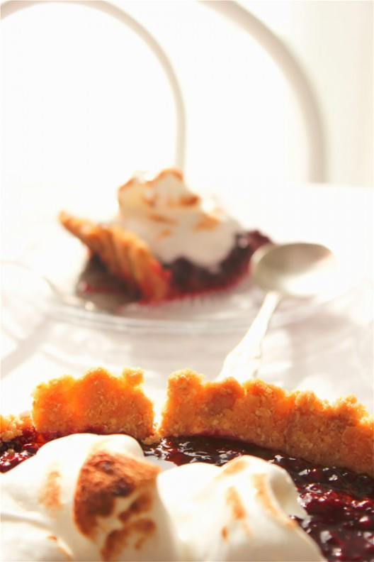 blackberries-7-528x792.jpg?v=undefined