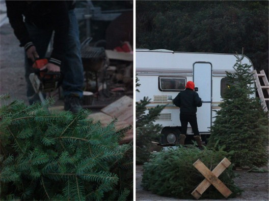 carrot-soup-10-528x396.jpg?v=undefined