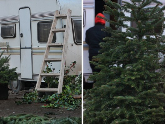 carrot-soup-12-528x396.jpg?v=undefined