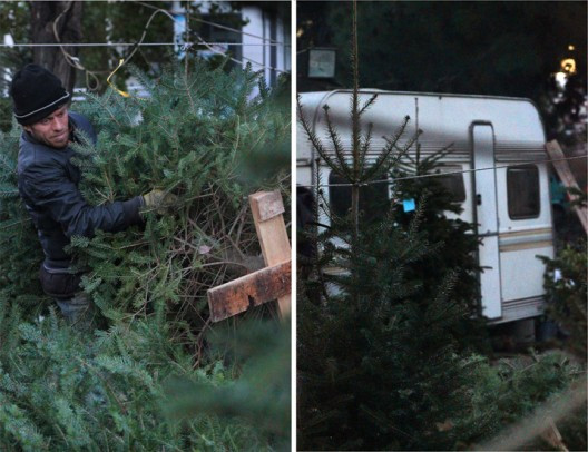 carrot-soup-13-528x406.jpg?v=undefined