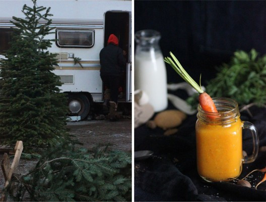 carrot-soup-4-528x402.jpg?v=undefined