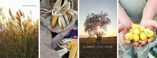 fb-autumn1-528x196.jpg?v=undefined