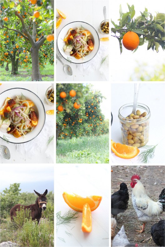 greek-easter-5-528x792.jpg?v=undefined