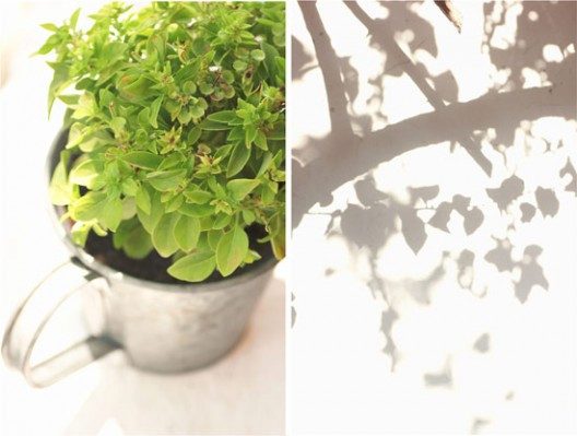 keftedakia-107-528x399.jpg?v=undefined