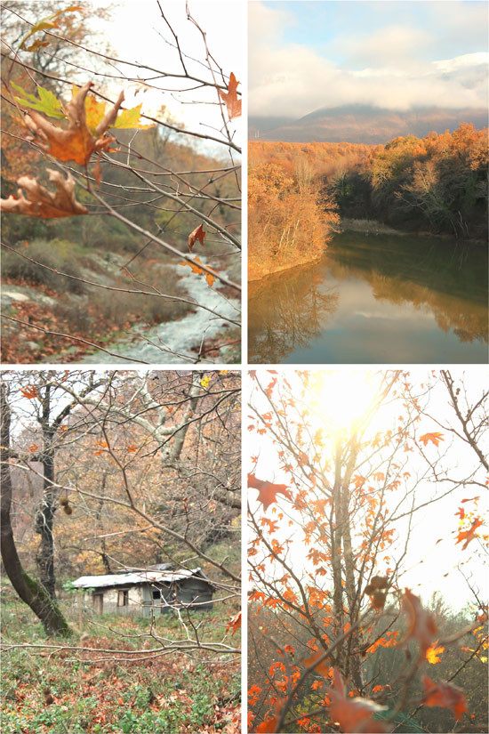 kolokithosoupa-26.jpg?v=undefined