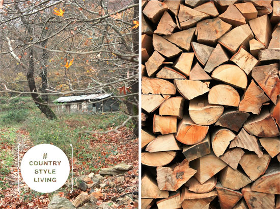 kolokithosoupa-31.jpg?v=undefined