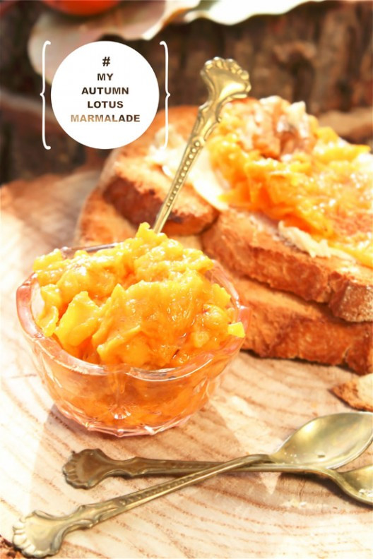 lotus-16-528x792.jpg?v=undefined