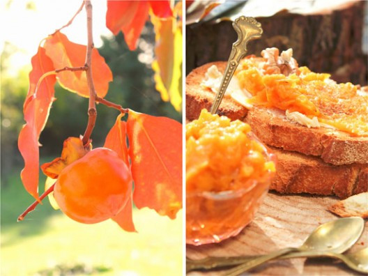 lotus-18-528x396.jpg?v=undefined