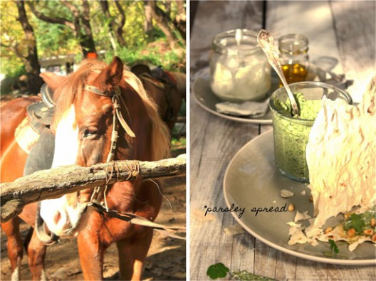 maintanos-14-528x395.jpg?v=undefined