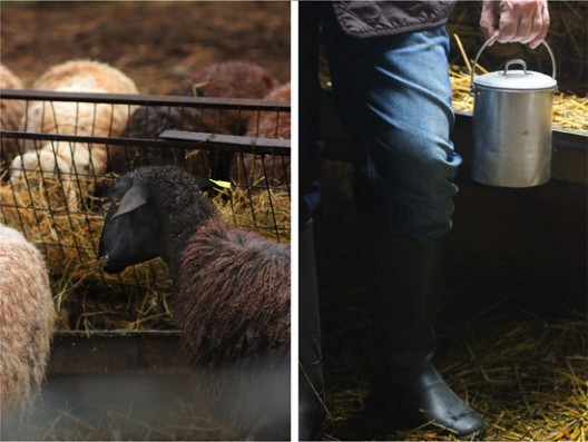 melityros-8-528x397.jpg?v=undefined