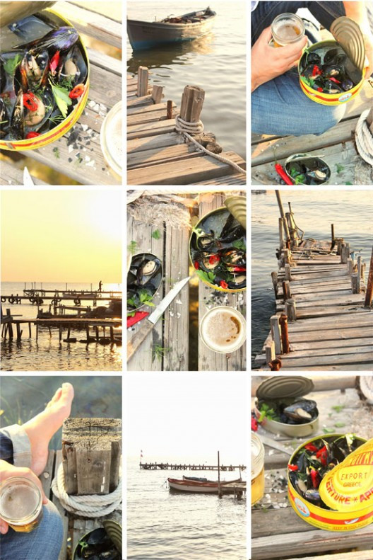 midia-axnista-101-528x791.jpg?v=undefined