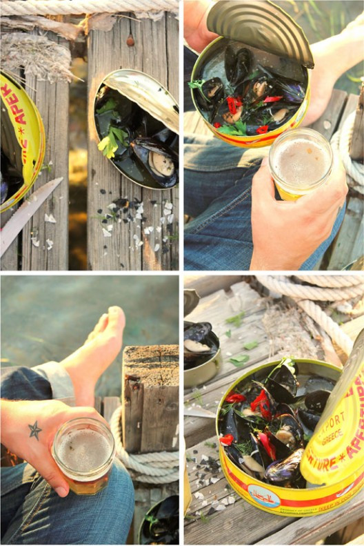 midia-axnista-102-528x791.jpg?v=undefined