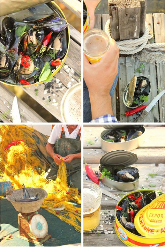 midia-axnista-103-528x792.jpg?v=undefined