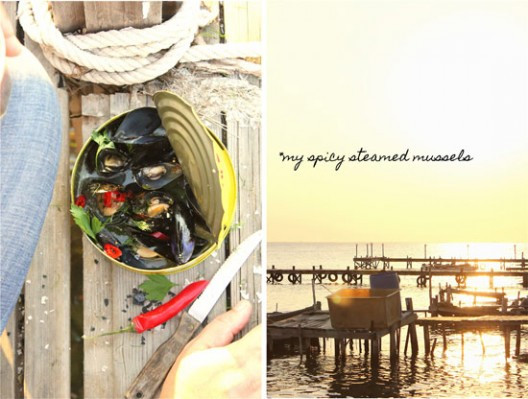 midia-axnista-1051-528x399.jpg?v=undefined