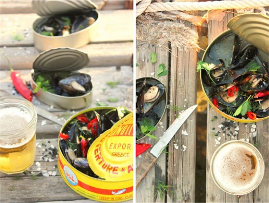 midia-axnista-106-528x399.jpg?v=undefined