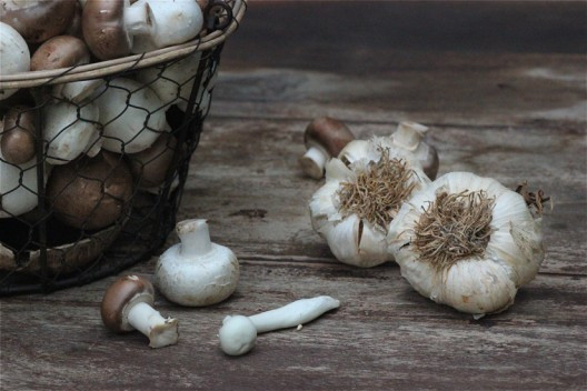 mushrooms-6-528x352.jpg?v=undefined