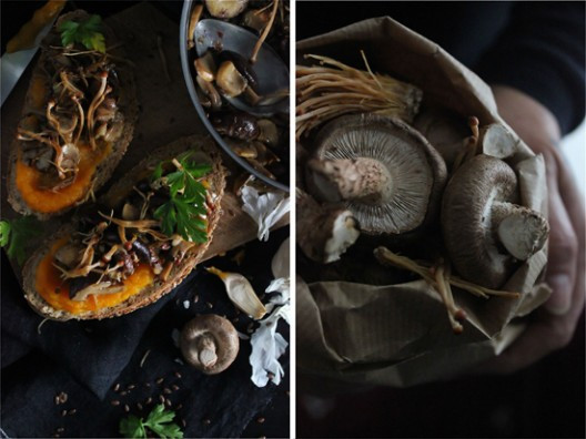 mushrooms-6-528x396.jpg?v=undefined