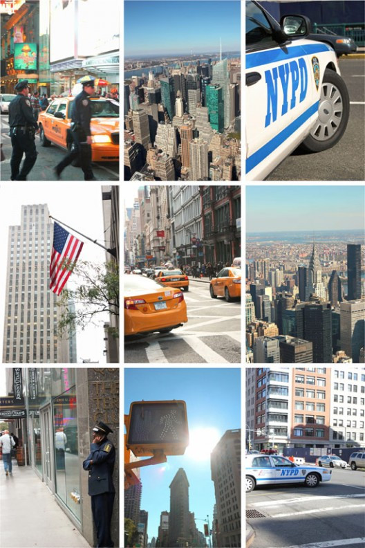 ny-1061-528x792.jpg?v=undefined