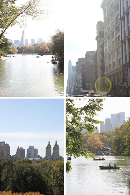 ny-1101-528x792.jpg?v=undefined