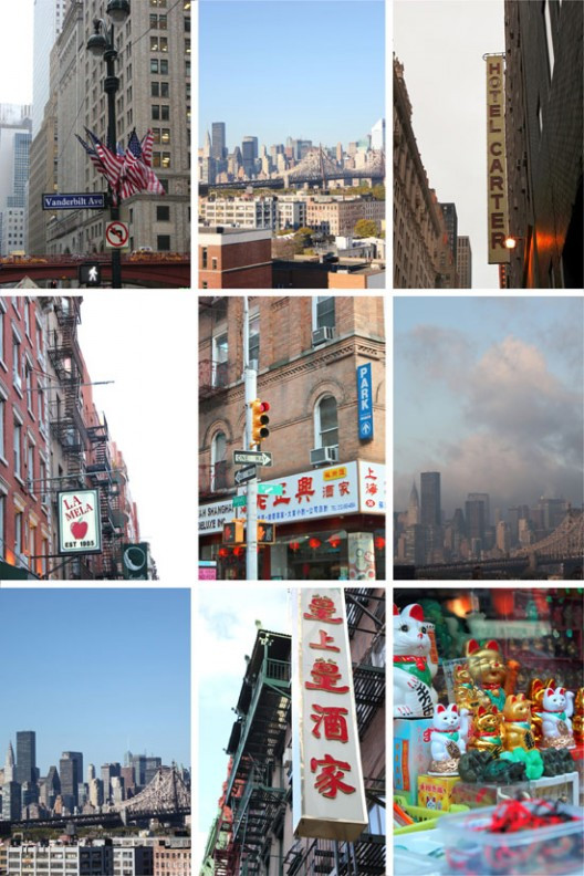 ny-1141-528x792.jpg?v=undefined