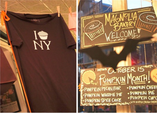 ny-1181-528x379.jpg?v=undefined