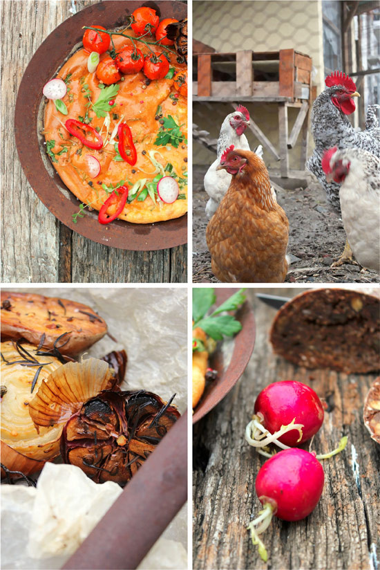 omeleta-23.jpg?v=undefined