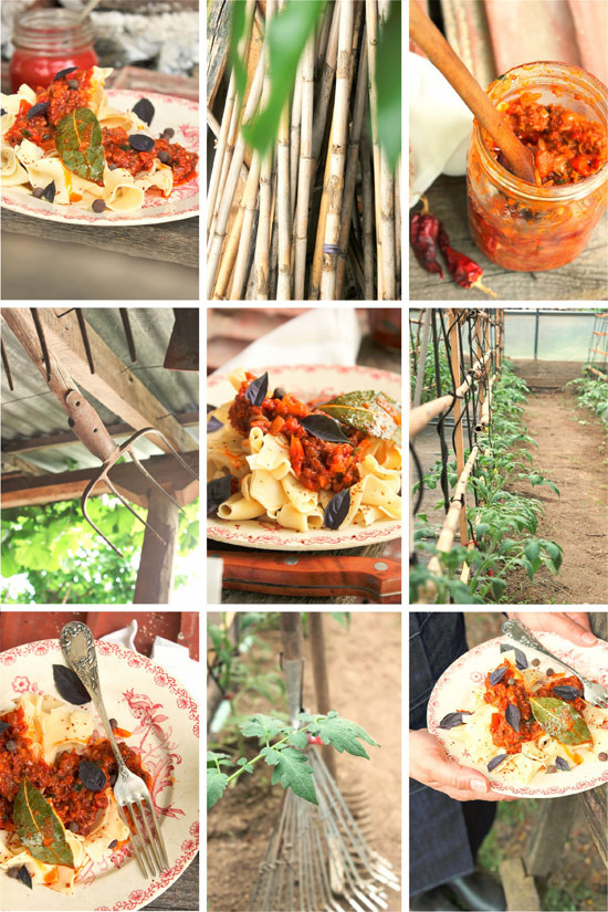 papardeles-101.jpg?v=undefined