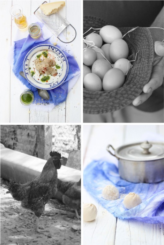 pasta-3-528x788.jpg?v=undefined