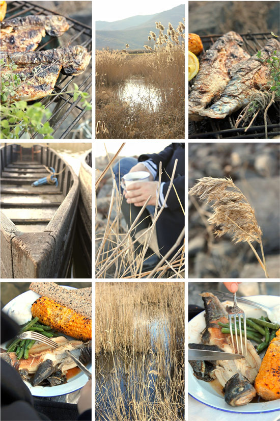 pestrofa-50.jpg?v=undefined