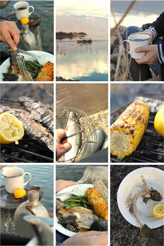 pestrofa-52.jpg?v=undefined