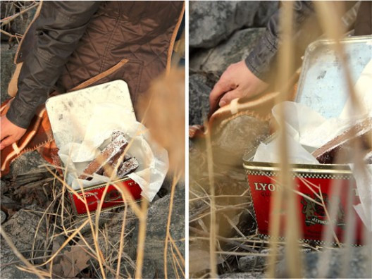 pestrofa-58-1-528x396.jpg?v=undefined