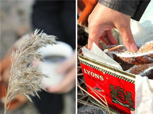 pestrofa-62-528x395.jpg?v=undefined