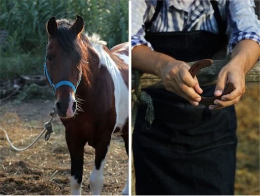pumpkin-pie-11-528x397.jpg?v=undefined
