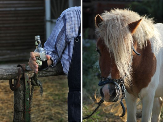 pumpkin-pie-6-528x397.jpg?v=undefined