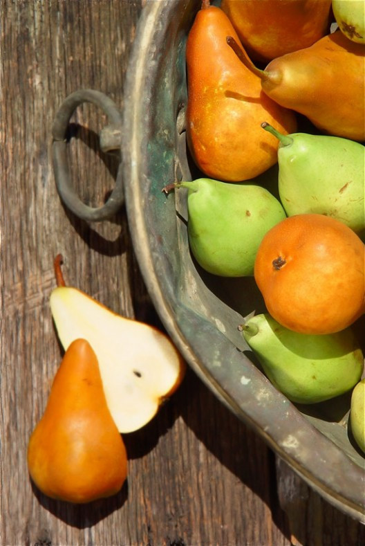 tarta-axladi-5-528x789.jpg?v=undefined