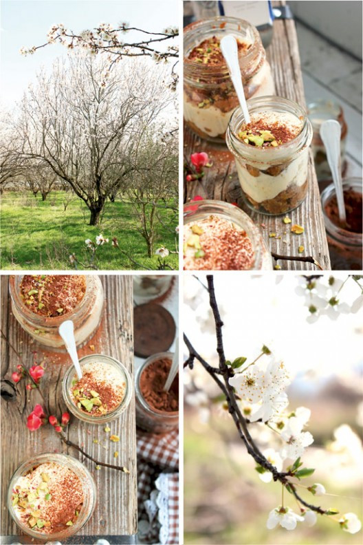 tiramisu-42-528x792.jpg?v=undefined