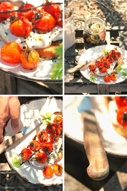 tomatinia-psita-101-528x791.jpg?v=undefined