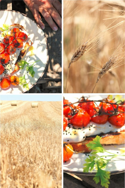 tomatinia-psita-103-528x791.jpg?v=undefined