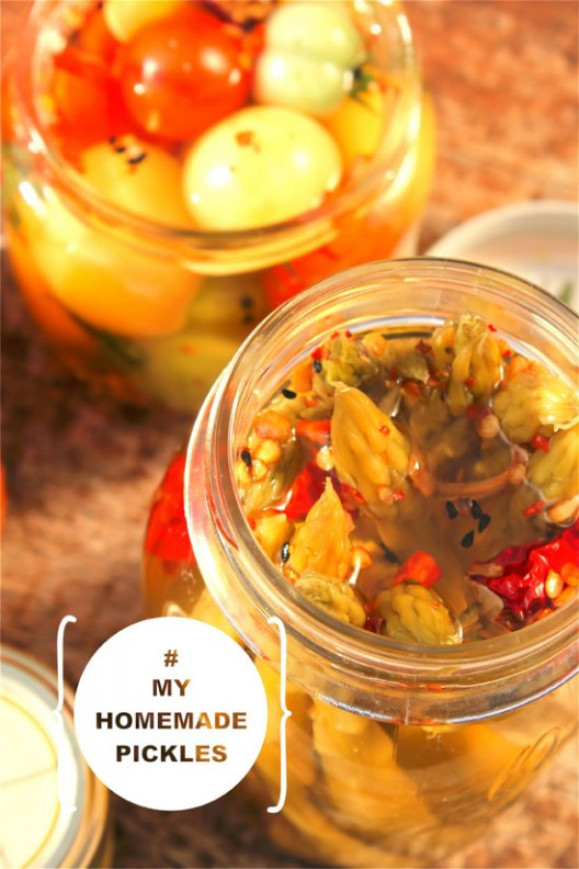 toursi-26-528x792.jpg?v=undefined