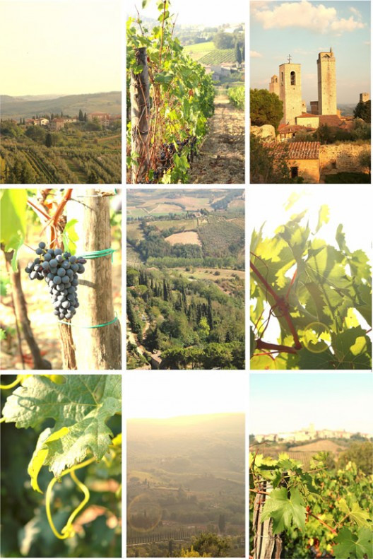 tuscany-6-528x791.jpg?v=undefined