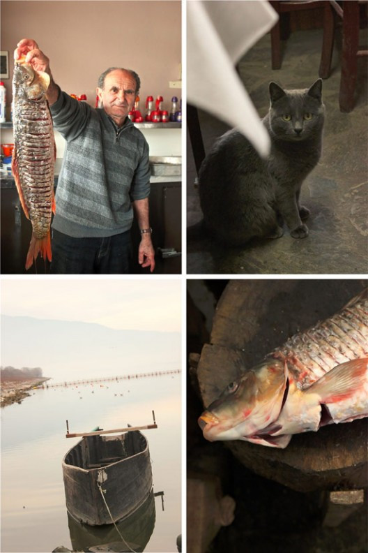 xarisis-30-528x792.jpg?v=undefined