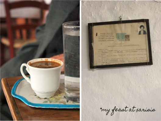 xarisis-34-528x396.jpg?v=undefined